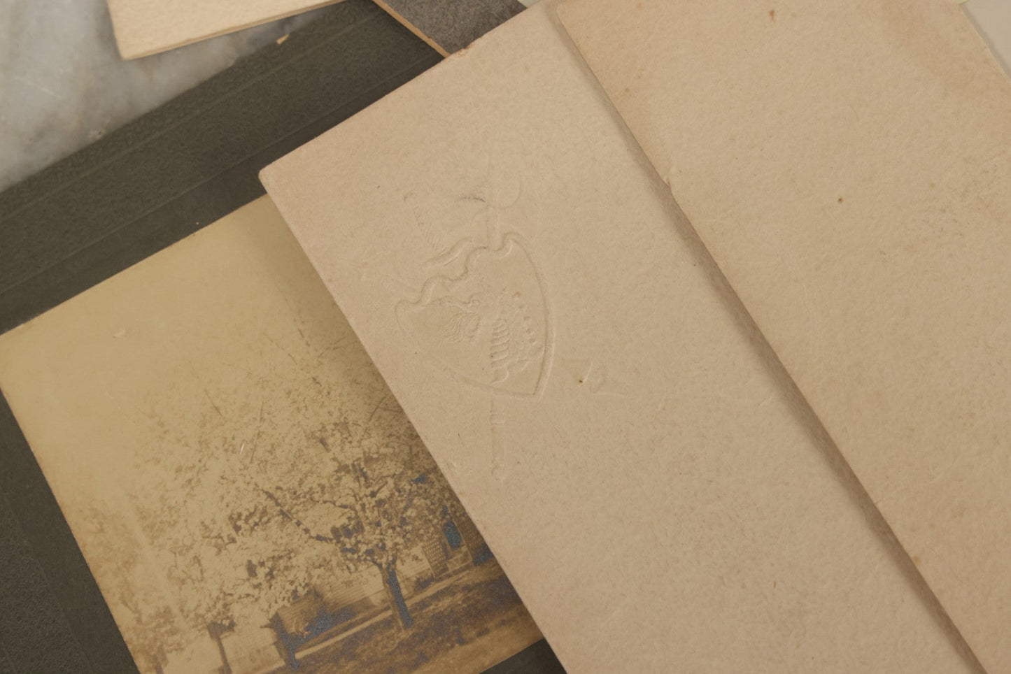Lot 178 - Grouping Of 10+ Miscellaneous Boarded Antique Photographs And Snapshots, Including Women, Interiors, Photographs Of Homes And More