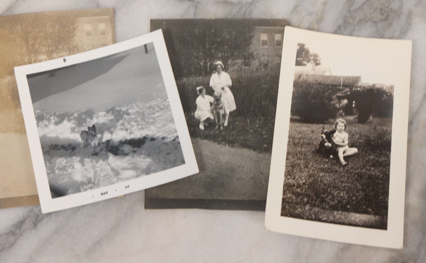 Lot 136 - Grouping Of 35 Vintage And Modern Snapshot Photographs Of People And Their Beloved Pets, Including Cats, Dogs, Cows And More