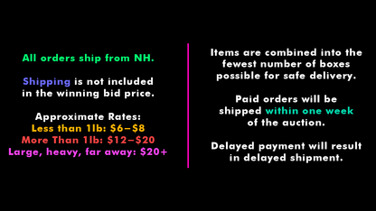 AUCTION-TERMS
