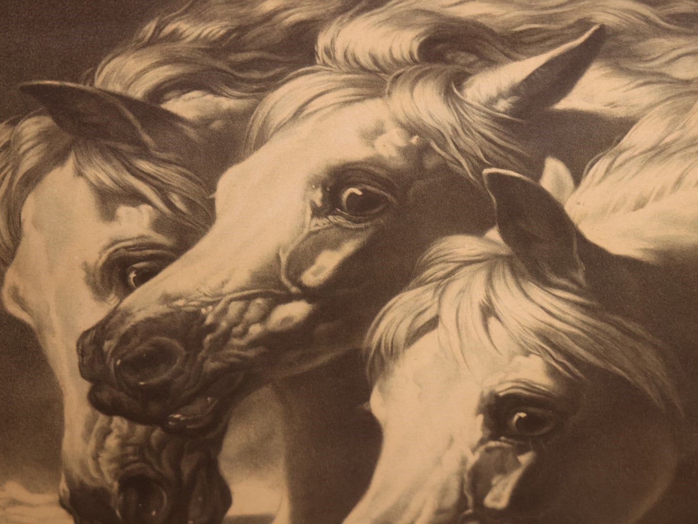 Oversized Print Of J.F. Herring's Pharaoh's Horses In Large, Ornate Gilt Frame