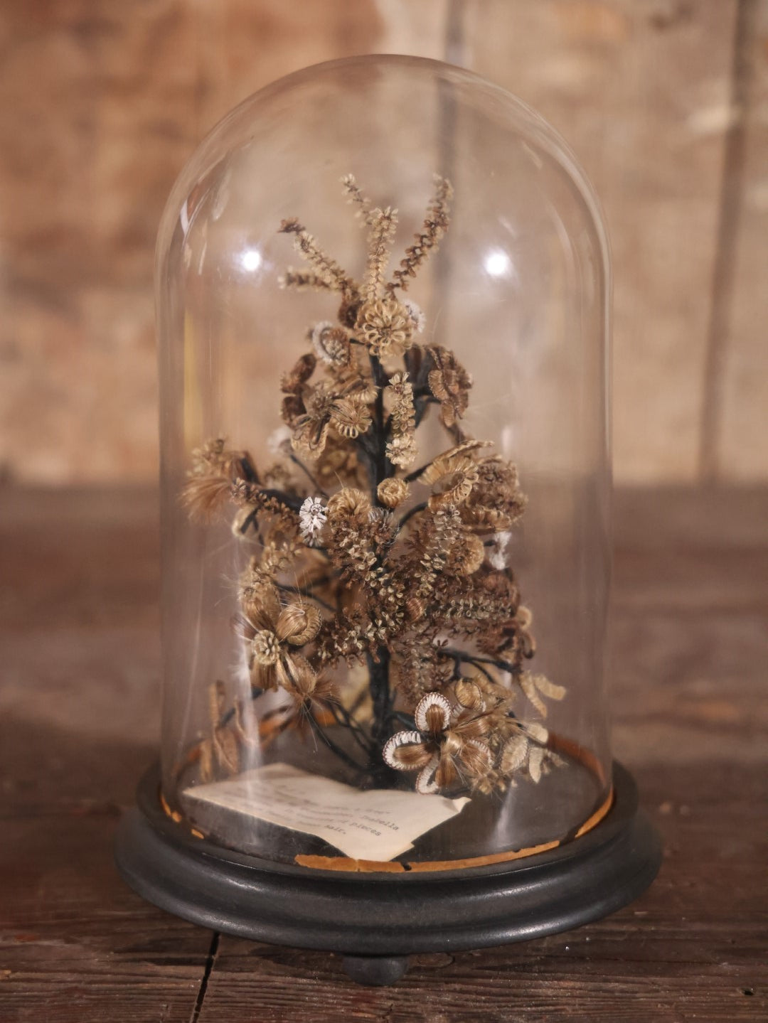 Victorian Human Hair Tree In Glass Cloche Dome With Provenance, Done By Isabella Upham Morse (1849-1927), Containing Hair Of The Upham Family, Circa 1895