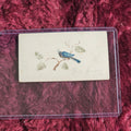 Lot 080 - Antique Calling Card, Walter Emerson