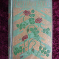 Lot 010 - The Fairy Land Of Science By Arabella Buckley, Antique Book,