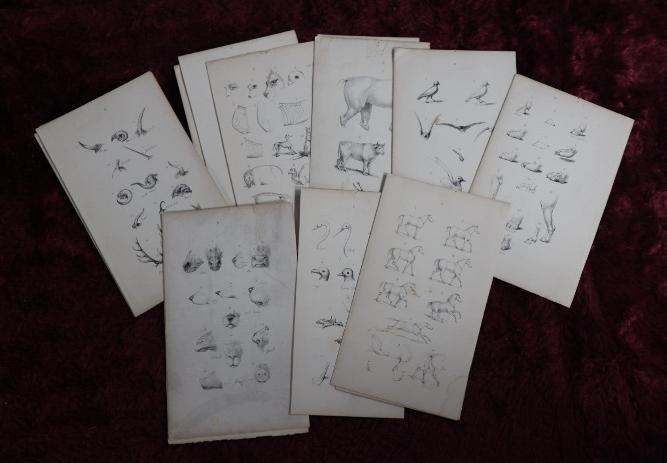 8/1/2024 AUCTION PHOTO GALLERY