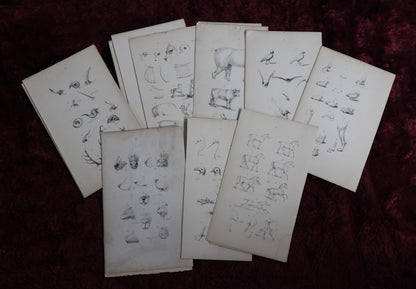 8/1/2024 AUCTION PHOTO GALLERY