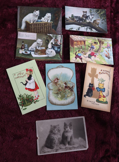 8/1/2024 AUCTION PHOTO GALLERY