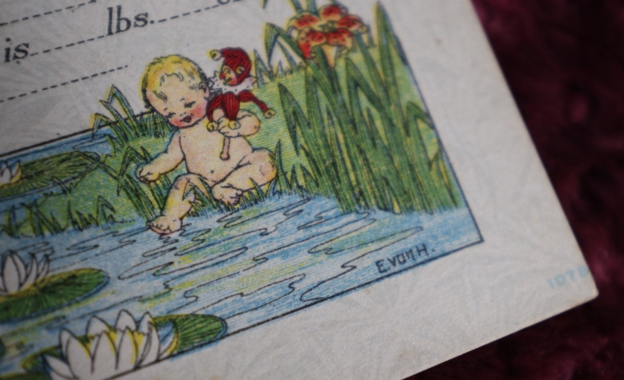 Lot 095 - Grouping Of Eleven Birth Announcement Cards, Illustrated By E. Von H., Dated 1917