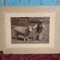 Lot 085 - Antique Boarded Photo Of Man With Curly Horned Sheep