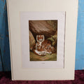 Lot 109 - Antique Unframed Chromolithograph Of Tigers, Published By Selmar Hess, New York, Matted
