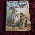 Lot 137 - Antique Illustrated Children's Book "Stories And Pictures Of Domestic Animals" Copyright 1879 By D. Lothrop And Company