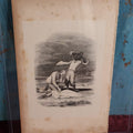 Lot 016 - Antique Engraving, "The Body Of Virginia Found In The Sand" From The Novel Paul Et Virginie By Jacques-Henri Bernardin De Saint-Pierre