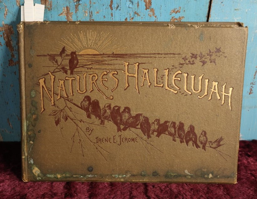Lot 021 - Nature's Hallelujah Illustrated And Arranged By Irene E. Jerome, 1888, Profusely Illustrated Book Of Poetry And More