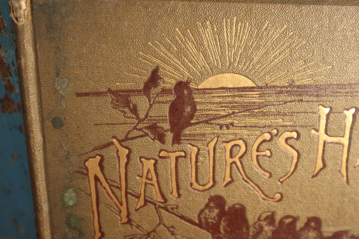 Lot 021 - Nature's Hallelujah Illustrated And Arranged By Irene E. Jerome, 1888, Profusely Illustrated Book Of Poetry And More