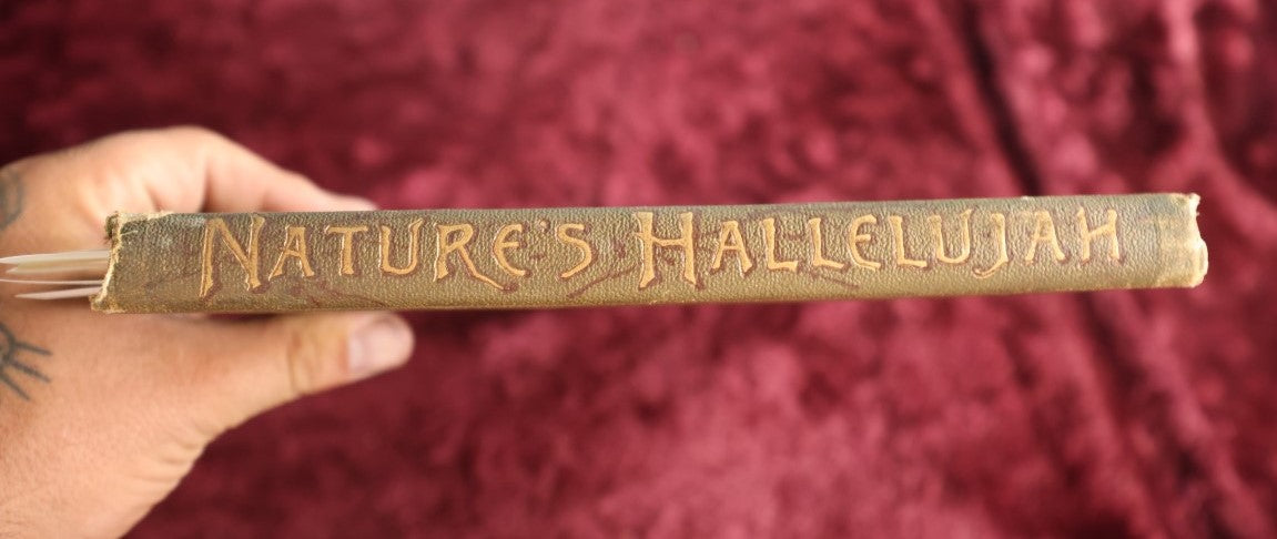 Lot 021 - Nature's Hallelujah Illustrated And Arranged By Irene E. Jerome, 1888, Profusely Illustrated Book Of Poetry And More