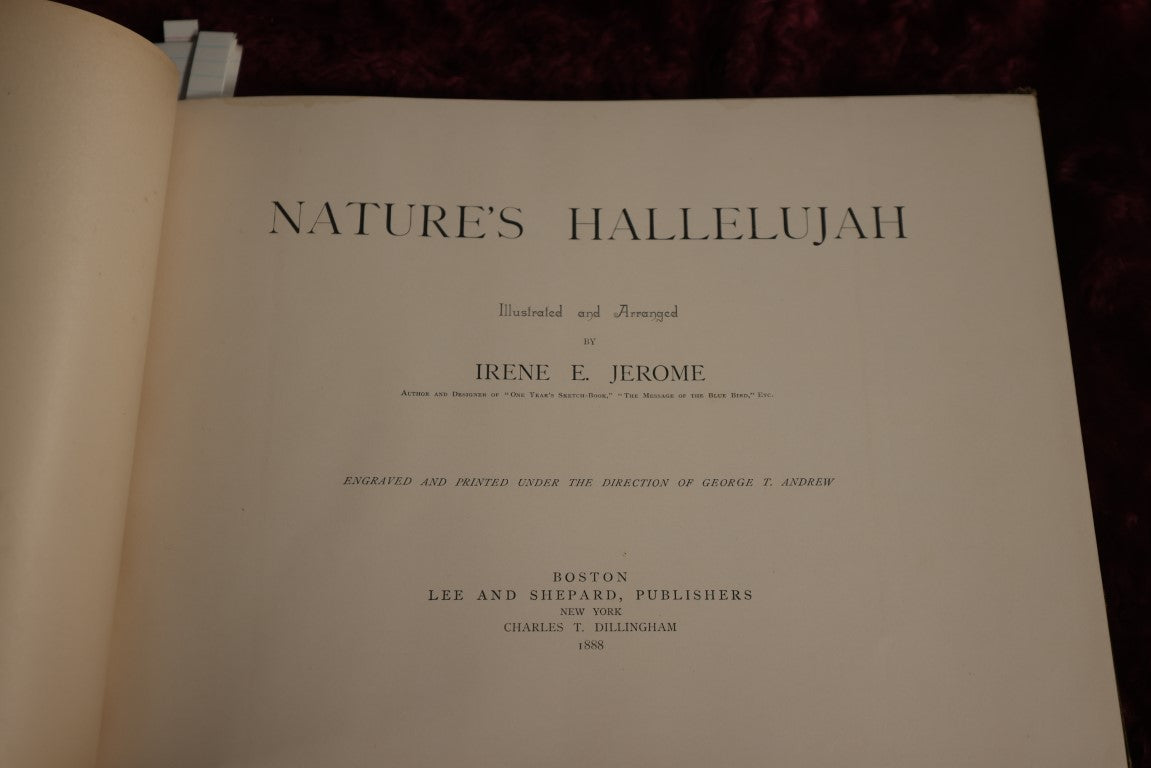 Lot 021 - Nature's Hallelujah Illustrated And Arranged By Irene E. Jerome, 1888, Profusely Illustrated Book Of Poetry And More