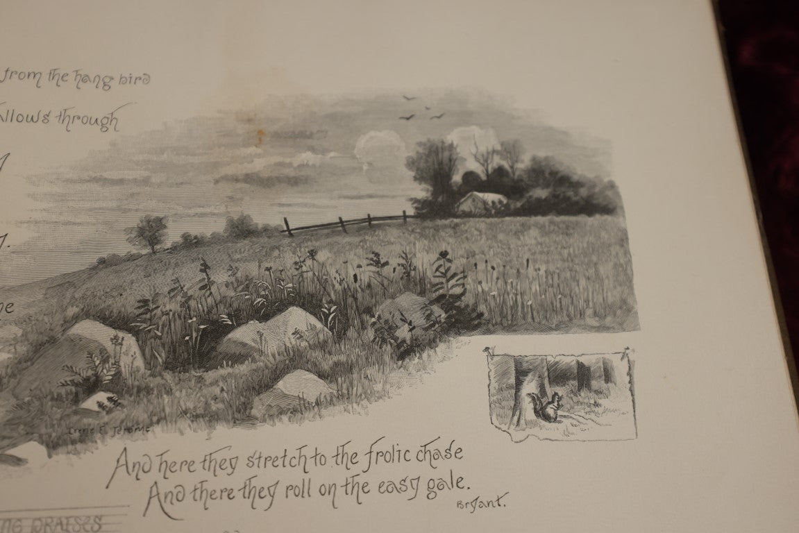 Lot 021 - Nature's Hallelujah Illustrated And Arranged By Irene E. Jerome, 1888, Profusely Illustrated Book Of Poetry And More