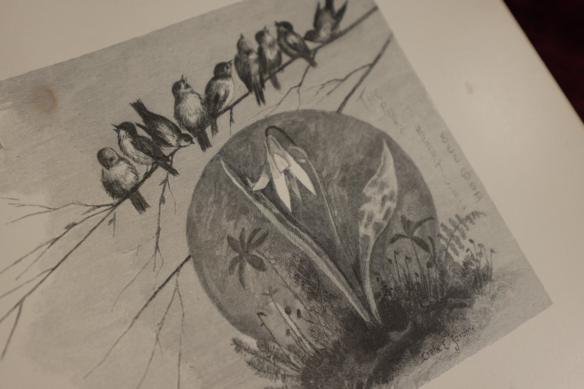 Lot 021 - Nature's Hallelujah Illustrated And Arranged By Irene E. Jerome, 1888, Profusely Illustrated Book Of Poetry And More