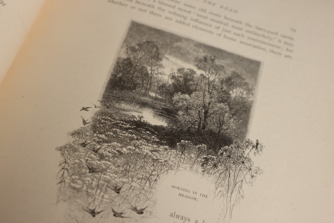 Lot 022 - Highways And Byways Or Saunterings In New England, Illustrated By William Hamilton Gibson, Profusely Illustrated Book Of Poetry And More