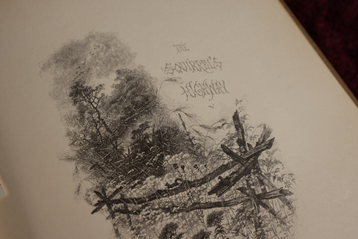 Lot 022 - Highways And Byways Or Saunterings In New England, Illustrated By William Hamilton Gibson, Profusely Illustrated Book Of Poetry And More