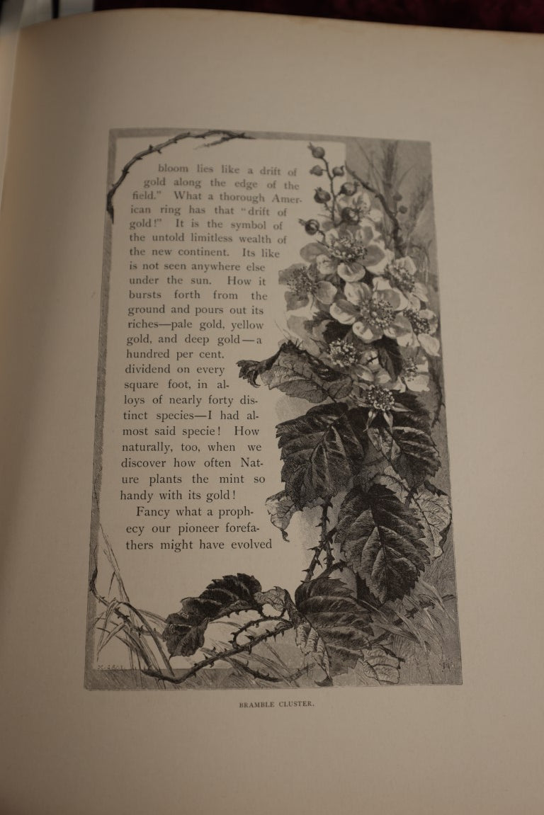 Lot 022 - Highways And Byways Or Saunterings In New England, Illustrated By William Hamilton Gibson, Profusely Illustrated Book Of Poetry And More