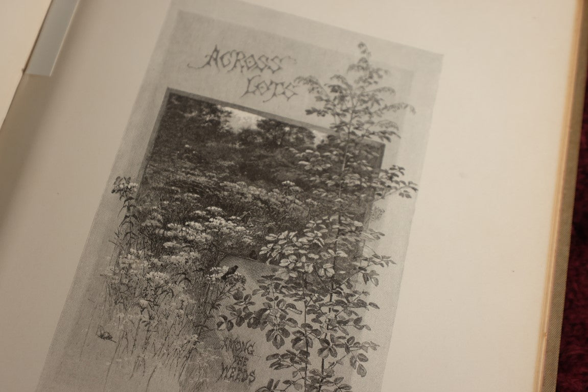Lot 022 - Highways And Byways Or Saunterings In New England, Illustrated By William Hamilton Gibson, Profusely Illustrated Book Of Poetry And More