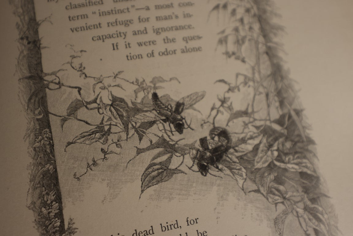 Lot 022 - Highways And Byways Or Saunterings In New England, Illustrated By William Hamilton Gibson, Profusely Illustrated Book Of Poetry And More