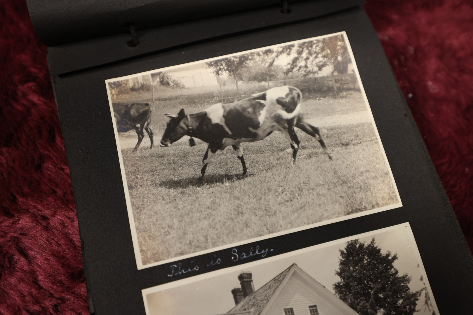 Lot 114 - Early 20th Century Snapshot Album of Well Traveled Family, Points of Interest Including Tuscon Arizona, West Point, Keene, Laconia, Lakes Region Nh, Prospect Hill, Somerville, Massachusetts 