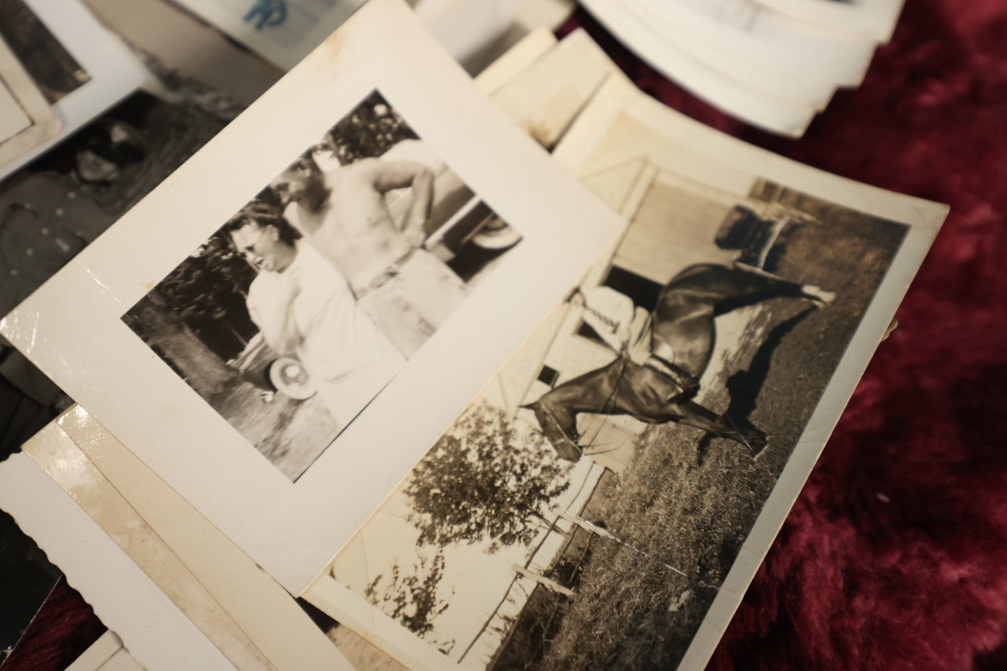Lot 146 - Photo Lot - Large 20th Century Snapshot Lot, 1910s To 1970s, Beach Scenes, Dogs, Automobiles, Horses, And More