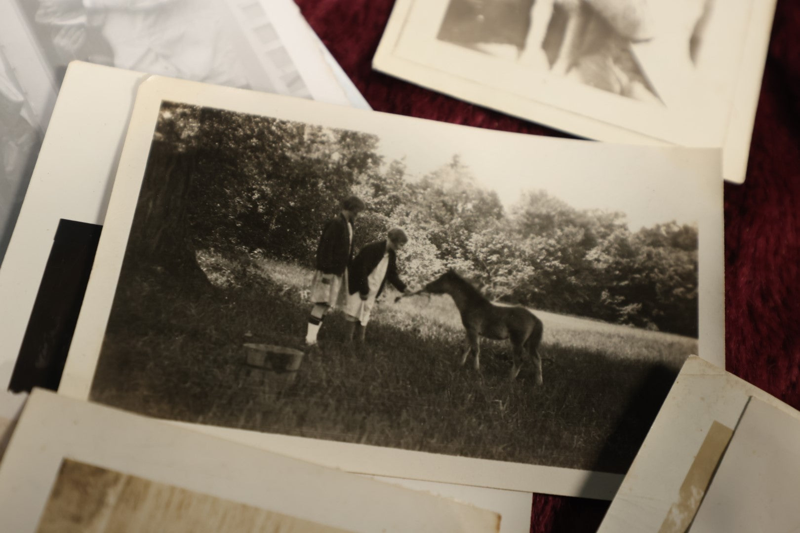 Lot 146 - Photo Lot - Large 20th Century Snapshot Lot, 1910s To 1970s, Beach Scenes, Dogs, Automobiles, Horses, And More
