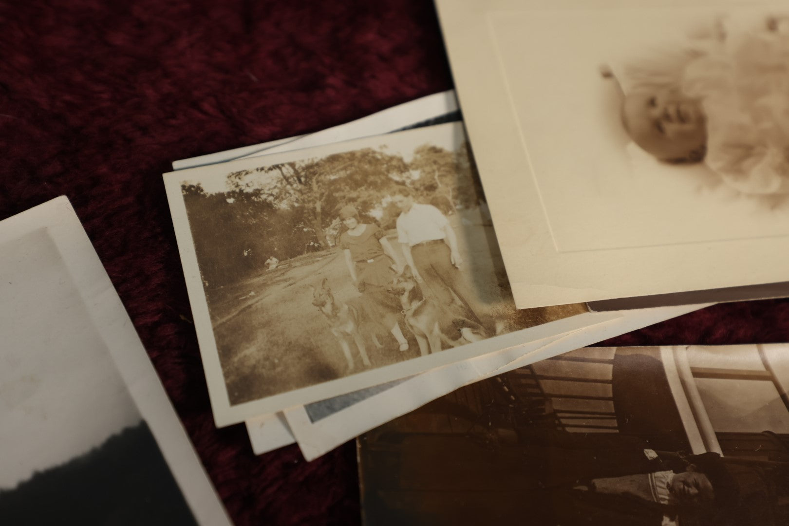 Lot 146 - Photo Lot - Large 20th Century Snapshot Lot, 1910s To 1970s, Beach Scenes, Dogs, Automobiles, Horses, And More