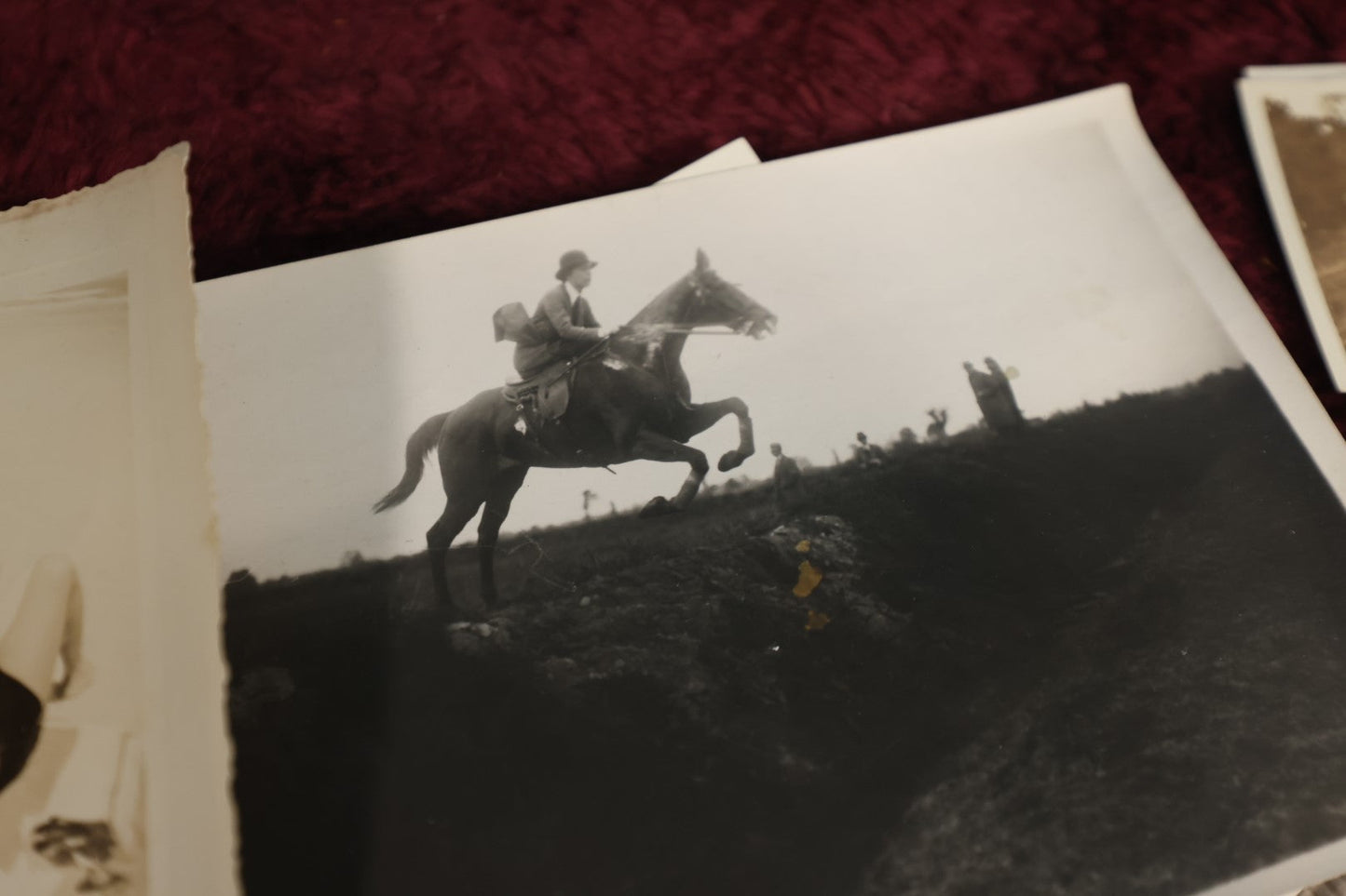 Lot 146 - Photo Lot - Large 20th Century Snapshot Lot, 1910s To 1970s, Beach Scenes, Dogs, Automobiles, Horses, And More