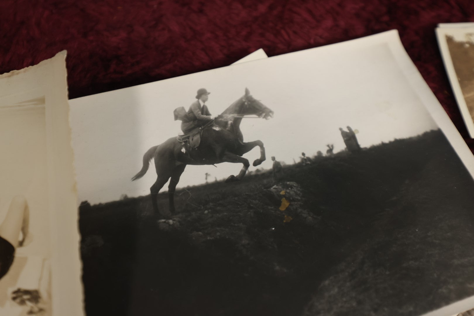 Lot 146 - Photo Lot - Large 20th Century Snapshot Lot, 1910s To 1970s, Beach Scenes, Dogs, Automobiles, Horses, And More