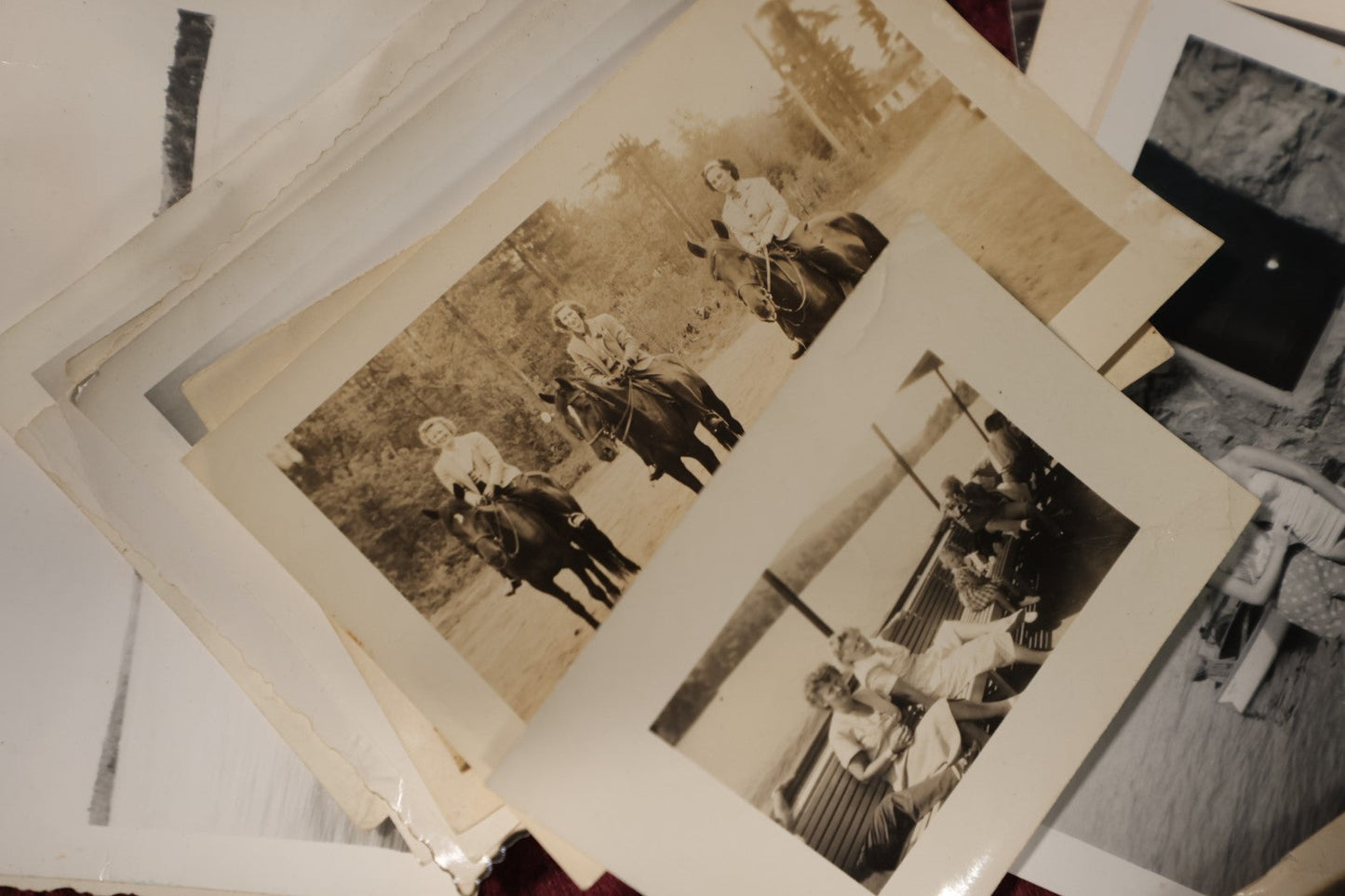 Lot 146 - Photo Lot - Large 20th Century Snapshot Lot, 1910s To 1970s, Beach Scenes, Dogs, Automobiles, Horses, And More
