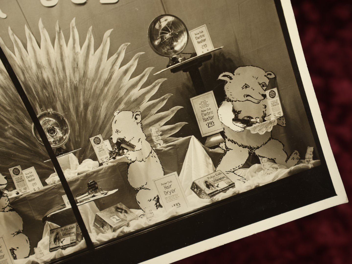Lot 163 - Single 8X10 Photo Of Drug Store Polar Cub Display