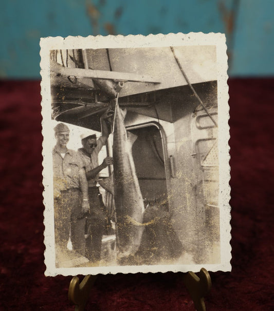 Lot 170 - Single Snapshot Photo - Two Sailors With Shark They Caught