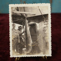 Lot 170 - Single Snapshot Photo - Two Sailors With Shark They Caught