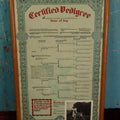 Lot 061 - Vintage 1950s Certified Pedigree Of Great Dane Dog, Briggs' Michael Of Mountdanie, Sire Ch. Tyras V Ralmar, Dam Kready's Chicki, With Photo