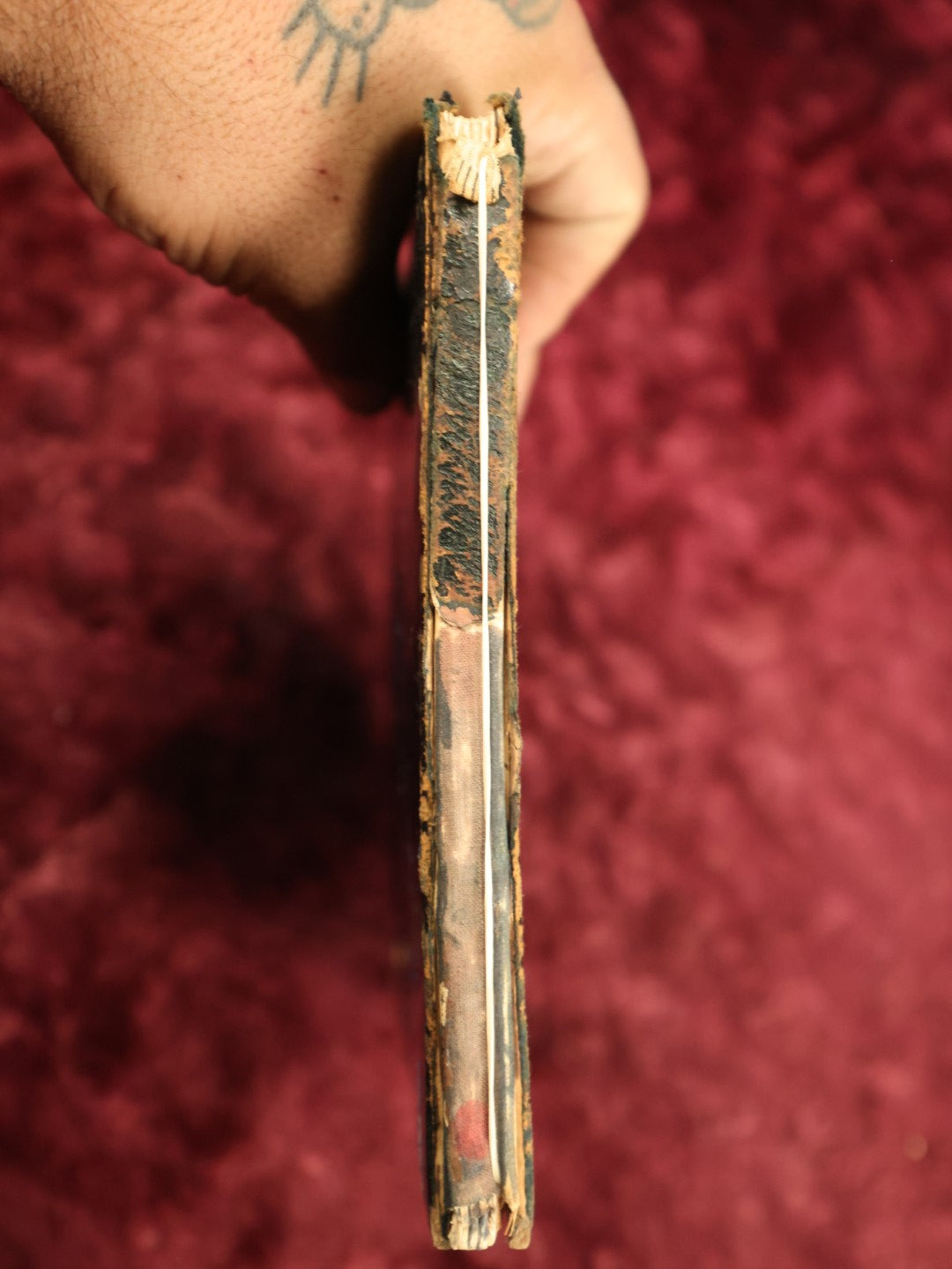 Lot 017 - Victorian Autograph Album With Many Signatures, Embossed Cover With Flowers, Gilt Fore Edge, Circa 1885, Brimfield, Massachusetts