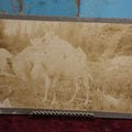 Lot 136 - Unusual Boarded Photograph Of A Deer Or Deer Statue, Mount Washington Railway Back Mark, New Hampshire