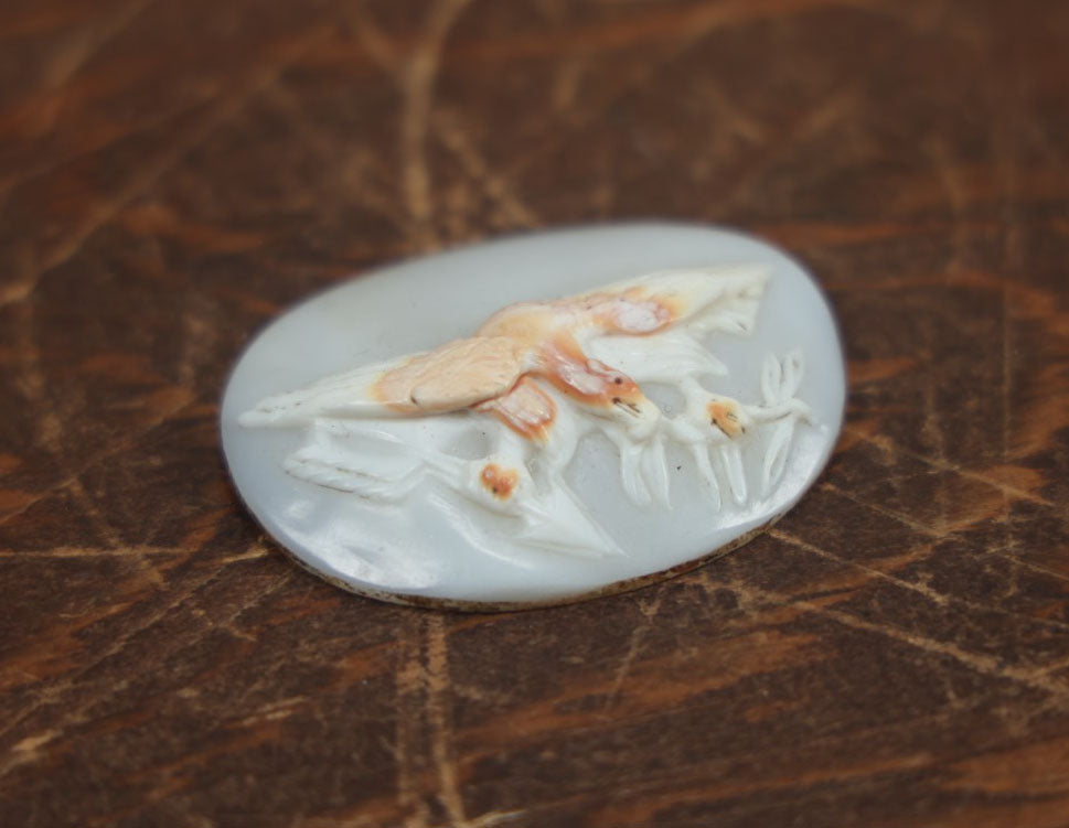 Lot 050 - Antique Carved Shell Cameo Of An Eagle Holding An Olive Branch And Arrow, No Setting