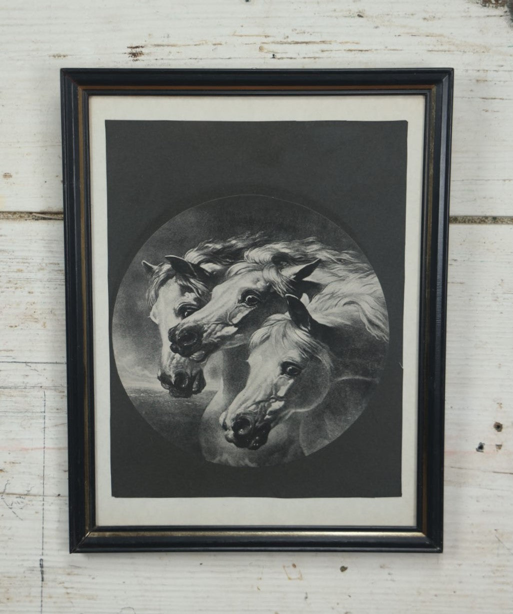 Lot 038 - Vintage Framed Print Of The Pharaoh's Horses, Black And White, Modern Frame, With Pencil Writing On Back