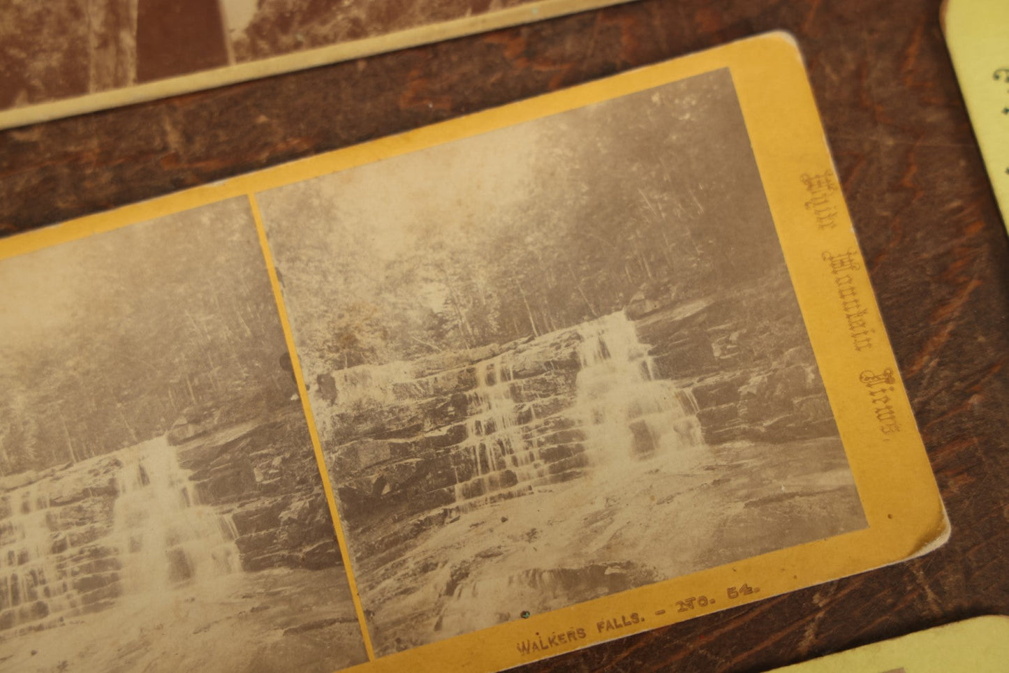 Lot 103 - Grouping Of 24+ Antique Landscape Stereo Cards, Showing Foliage, Rock Formations, Mountains, And More