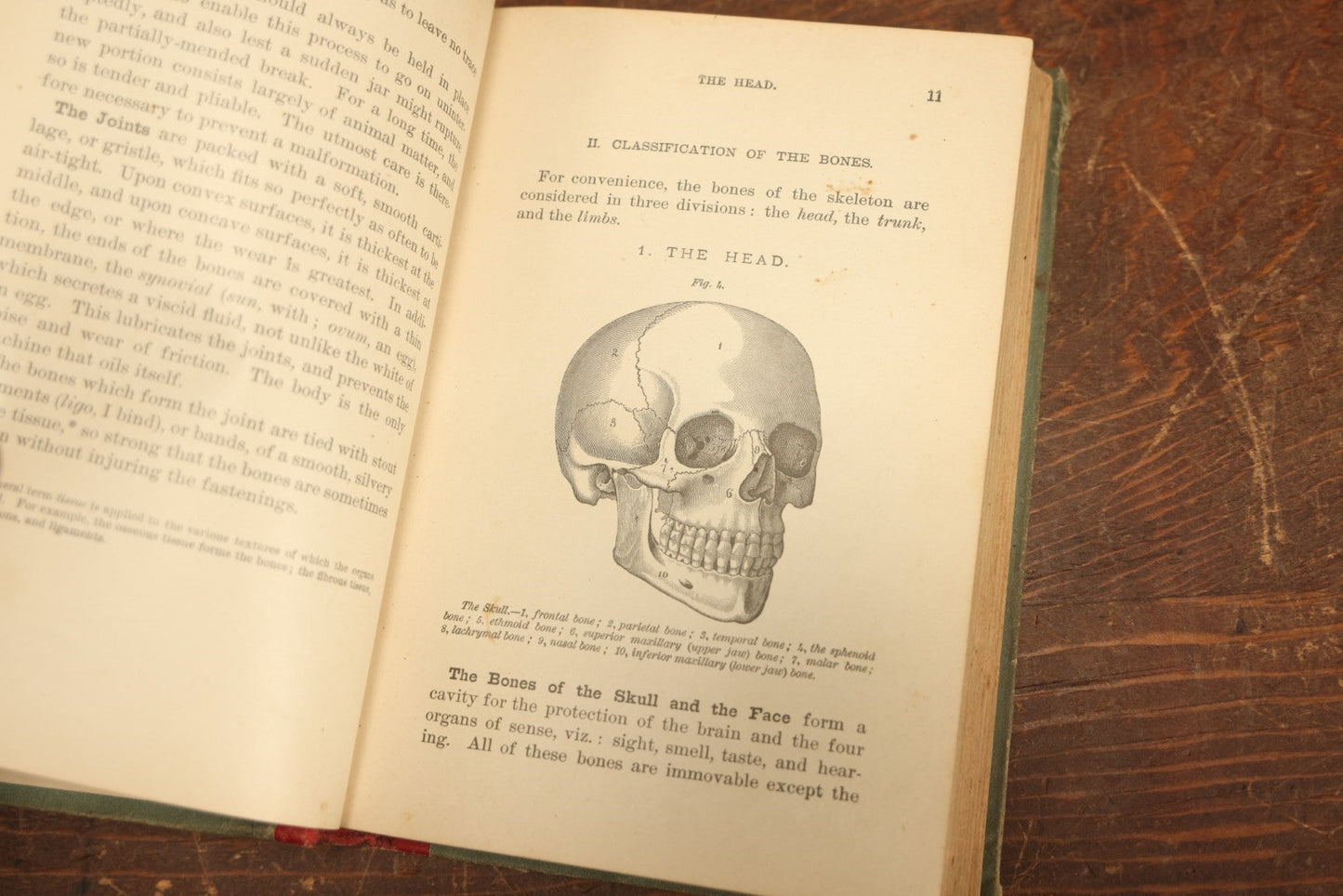 Lot 028 - "Hygienic Physiology" Antique Anatomy And Medicine Book With Many Illustrations, Full Color Plates, By Joel Dorman Steele, P.H.D., 1886