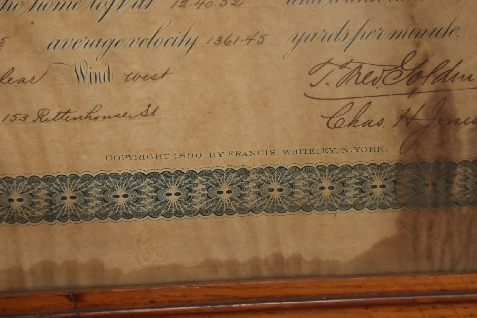 Lot 014 - Antique Diploma From The National Federation Of American Homing Pigeon Fanciers, Given To Mr. W.H. Praul, Germantown, Pennsylvania, May 1895
