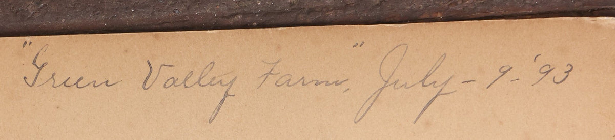 Lot 059 - Antique Boarded Photo Of Musicians, Banjo And Mandolin Players, Friends, At Green Valley Farm, July 1893