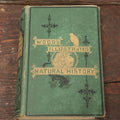Lot 010 - "Wood's Illustrated Natural History" Antique Illustrated Zoology Book By Reverend J.G. Wood, Over 400 Illustrations, 1874 Edition