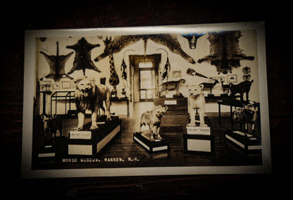12/12/2024 AUCTION PHOTO GALLERY