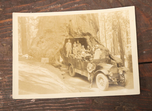 Lot 016 - Antique Photo Of A Group Of Tourists At The Base Of The Wawona Tunnel Tree, Yosemite National Park, California, Early 20Th Century