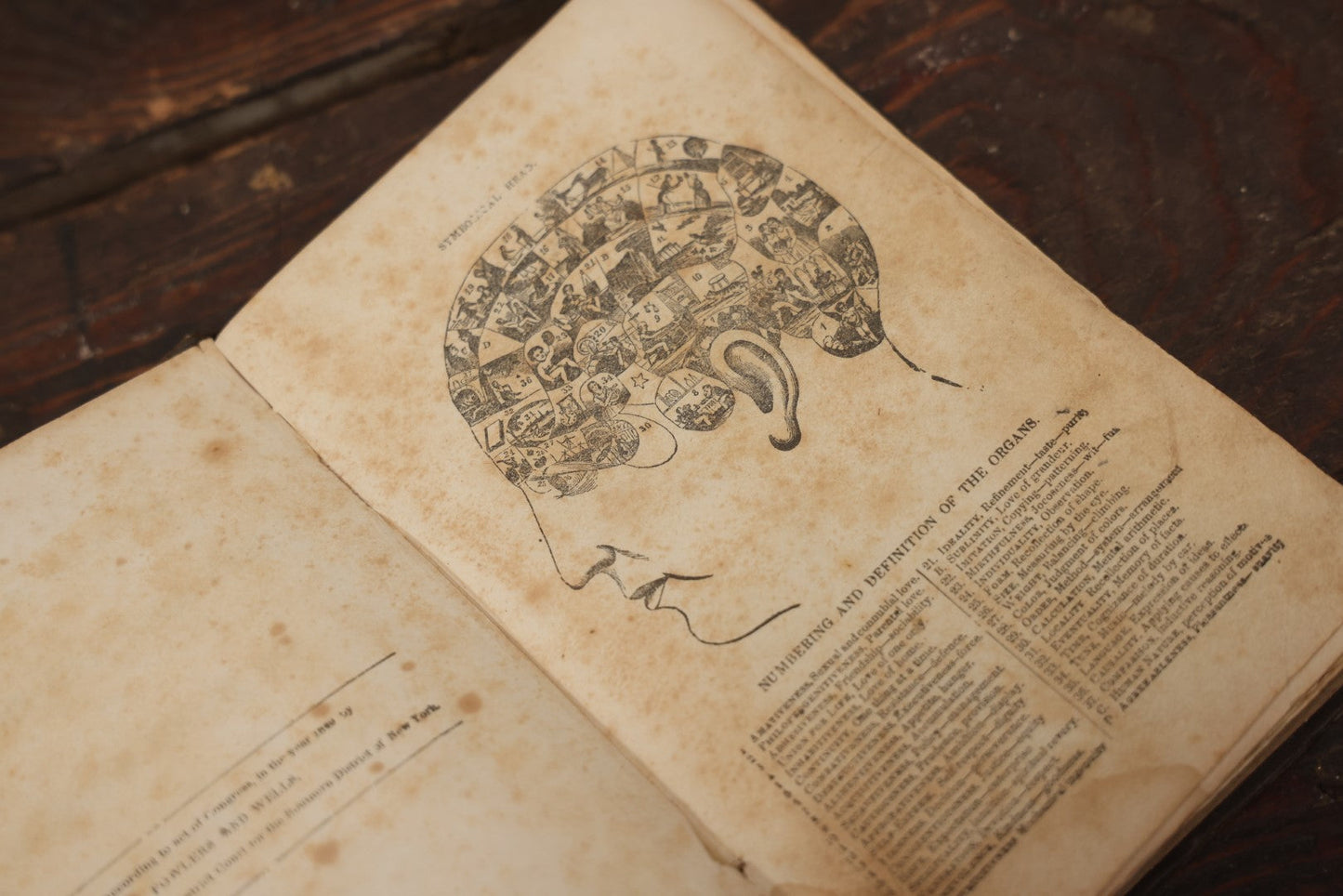 Lot 082 - "The Illustrated Self-Instructor In Phrenology And Physiology With 100 Engravings And A Chart Of The Character" Antique Book By O.S. And L.N. Fowler, 1854 Edition