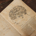 Lot 082 - "The Illustrated Self-Instructor In Phrenology And Physiology With 100 Engravings And A Chart Of The Character" Antique Book By O.S. And L.N. Fowler, 1854 Edition
